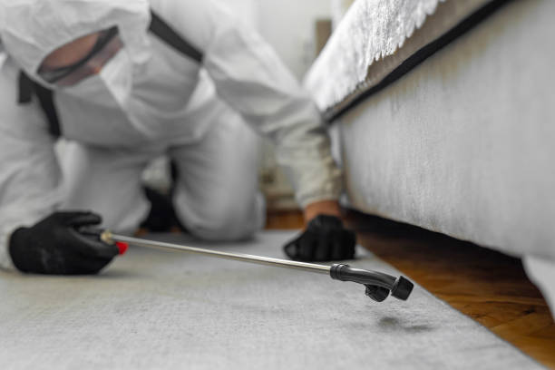 Professional Termite Control technician working in Richmond, MO