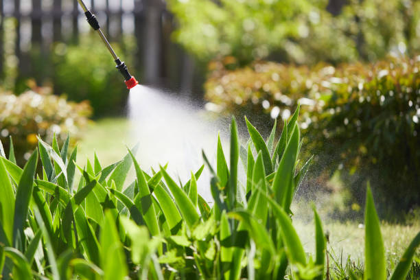 24/7 Emergency Termite Control experts in Richmond, MO