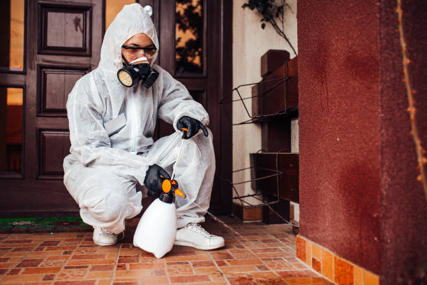 Reliable Termite Control contractor in Richmond, MO by Nex Pest Control