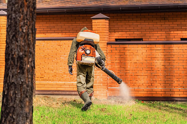 Top rated local Termite Control specialists in Richmond, MO